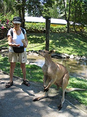 245 Wildlife Habitat Port Douglas